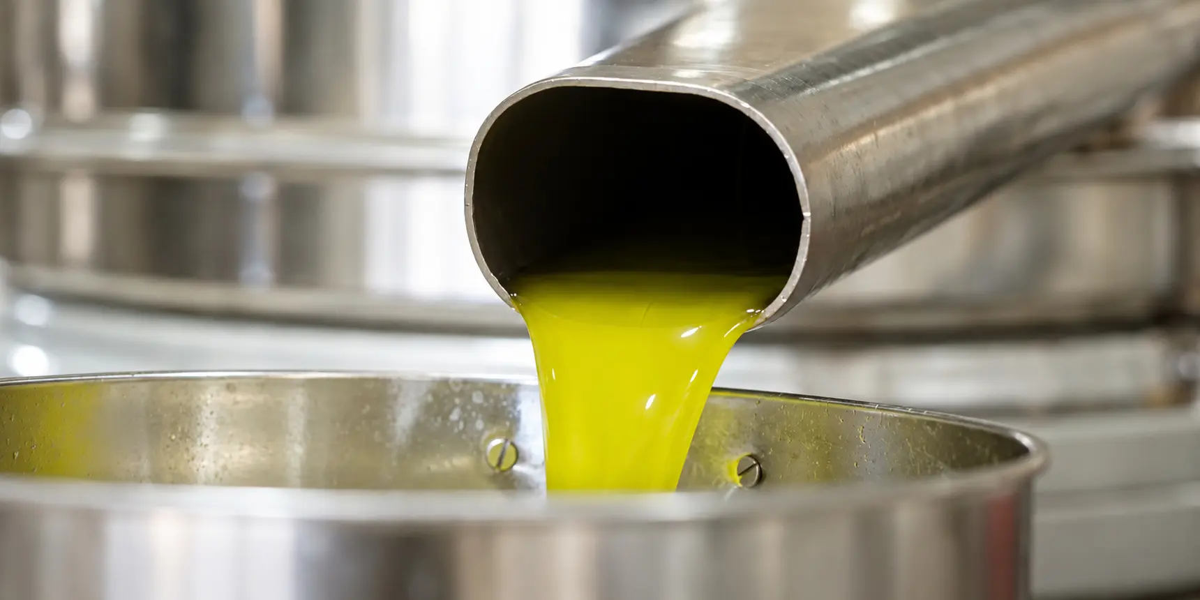 Fresh olive oil